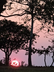 Sunset from Rafiki Village. My last evening here. Bittersweet.